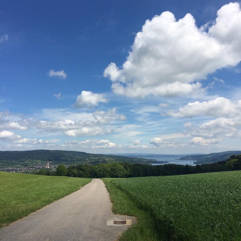 B&B Stein Am Rhein Bagian luar foto